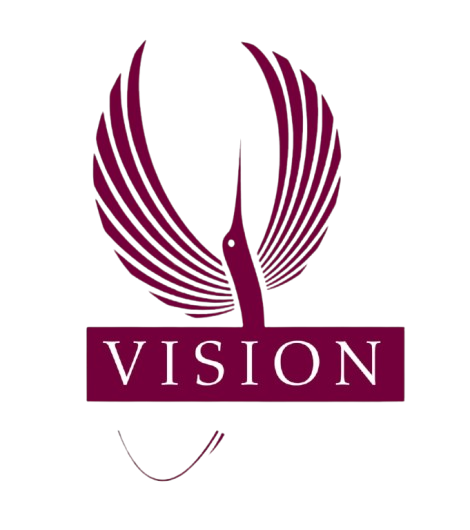 Vision School of Aviation